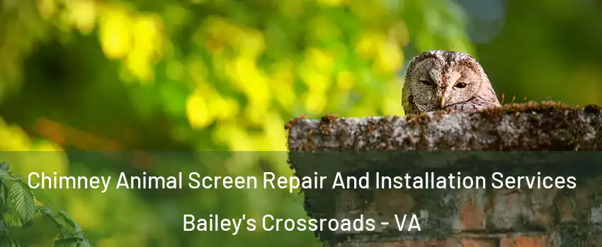 Chimney Animal Screen Repair And Installation Services Bailey's Crossroads - VA