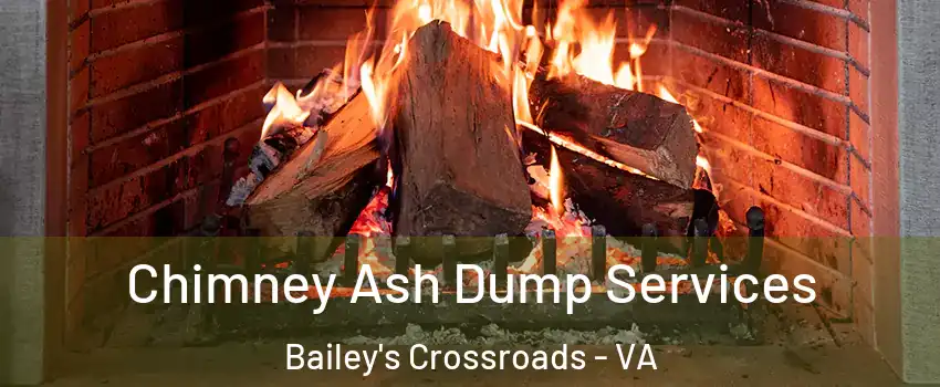  Chimney Ash Dump Services Bailey's Crossroads - VA