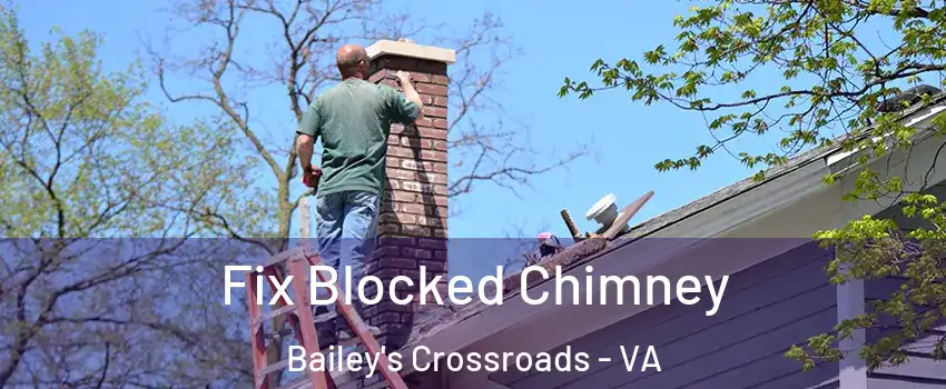  Fix Blocked Chimney Bailey's Crossroads - VA