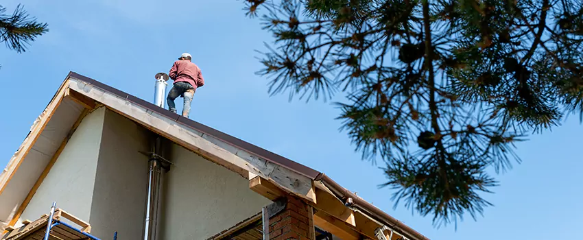 Birds Removal Contractors from Chimney in Bailey's Crossroads, VA