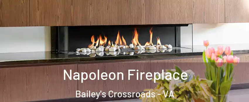 Napoleon Fireplace Bailey's Crossroads - VA